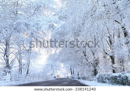 Snow covered trees after a snow blizzard in Ireland