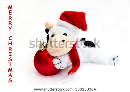Christmas card: plush caw with christmas cap and scarf  on the red glass ball