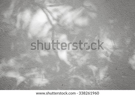 White concrete wall with plaster layer and floral shadows pattern, background photo texture