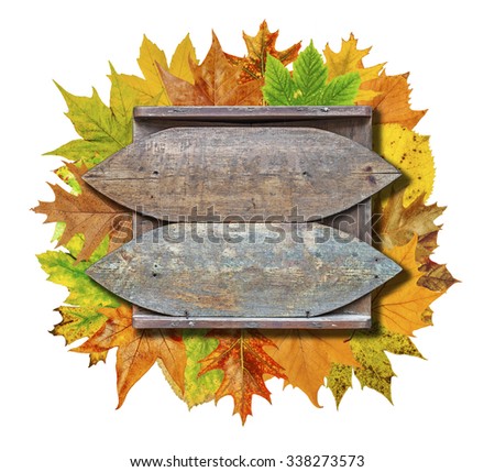 Empty wooden board with colorful leaves isolated on white