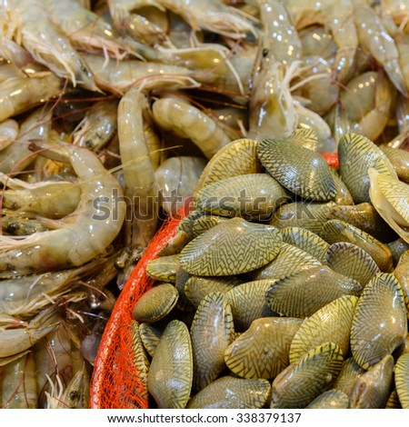 Close-up view of different fresh live prawns/shrimps and a tray/bowl of clams at Chinatown Wet Market - one of the most exotic local Wet Markets in Singapore. Seafood background