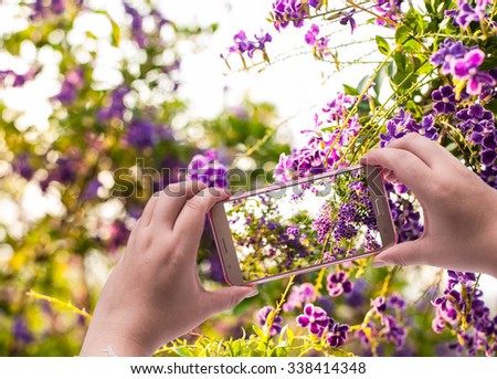 Image of shooting photographs with smartphone on flower over light background