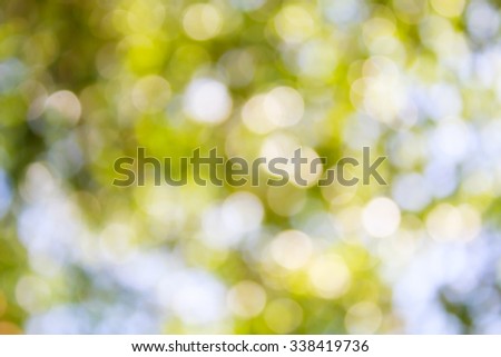 abstract natural blur background, defocused leaves, bokeh
