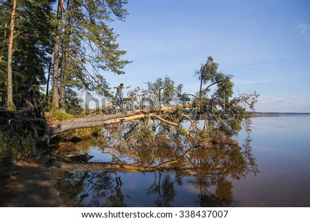 man standing on fallen tree over the lake