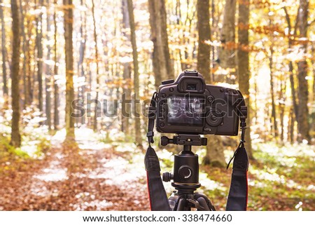 Professional Camera on a Tripod Taking Nature and Forest Photography 
