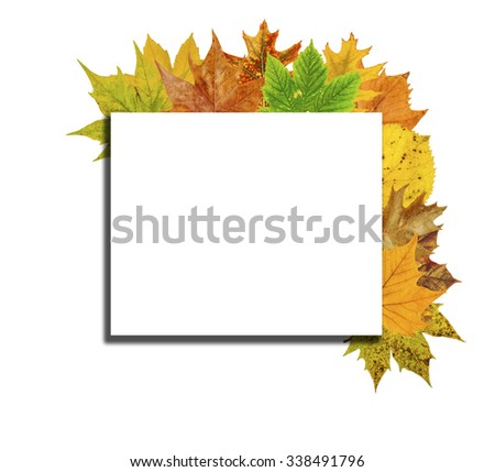 Empty wooden board with lot colorful leaf isolated on white