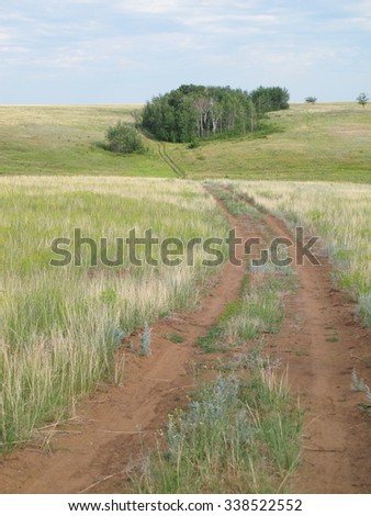 Dirt road in the steppe leading to a small forest against a blue sky