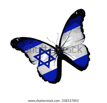 Israeli flag butterfly - vector