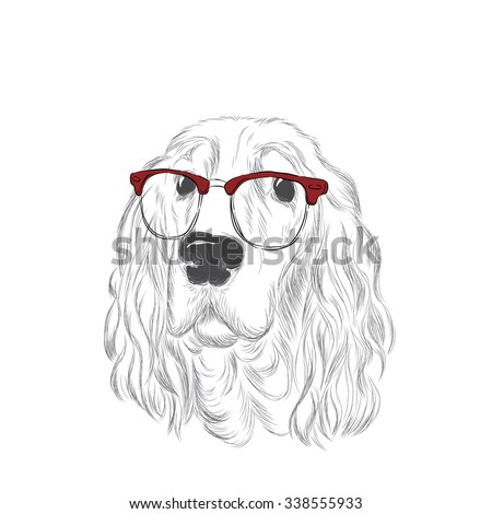 Spaniel. Dog with glasses . Vector illustration for greeting card, poster, or print on clothes.

