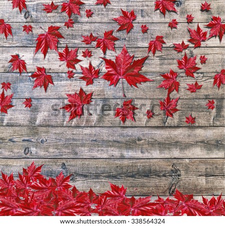 Autumn falling leaves lying on wooden background