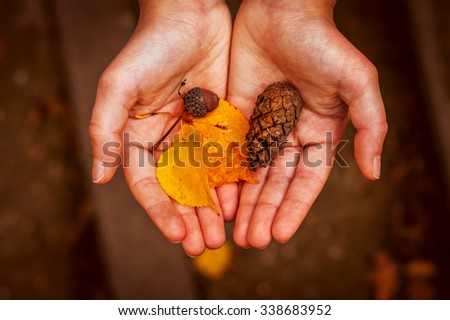 The palms of the hands on which are the gifts of autumn: pinecone, yellow leaf, acorn cap.