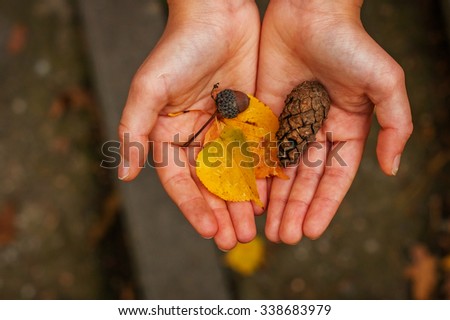 The palms of the hands on which are the gifts of autumn: pinecone, yellow leaf, acorn cap.