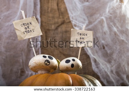 Photo closeup still life part of one pumpkin two champignons ghost faces with Halloween lettering trick or treat on white paper sheets on sticks on top on blurred rustic background, horizontal picture