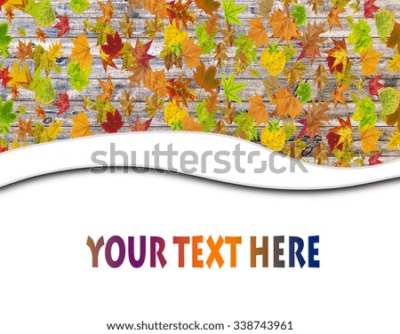Autumn abstract floral background with place for your text