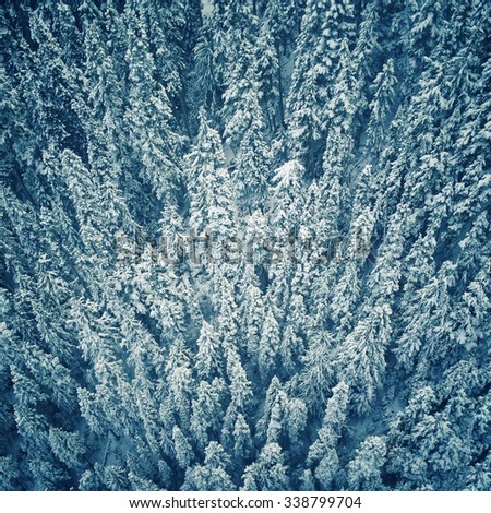 Aerial photo of snow covered trees