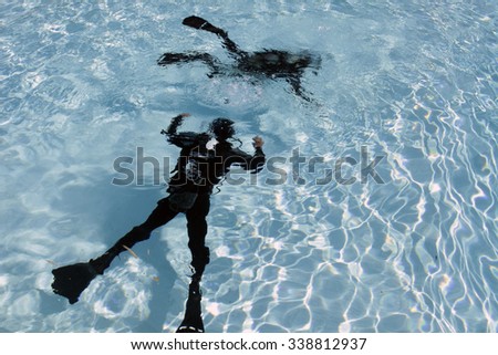 Couple scuba diving, silhouetted in water