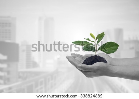human hands holding growing plant over blur cityscape for save and responsibility concept. Royalty-Free Stock Photo #338824685