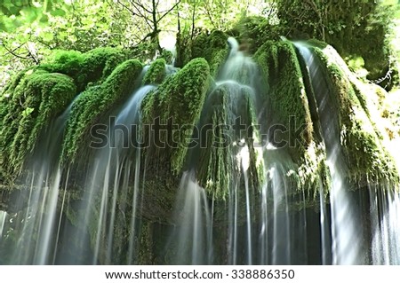 waterfall named "hair of Venus" . morigerati , Cilento , Italy