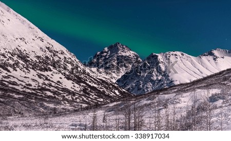 northern lights with stars and trees and snowy mountains