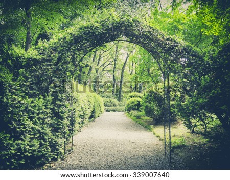 secret garden in vintage style Royalty-Free Stock Photo #339007640