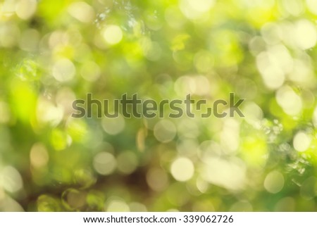 green bokeh background