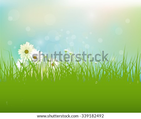 Vector Spring nature field with green grass, white Gerbera- Daisy flowers and water drops dew on green leaves, with bokeh effect on blue-green pastel colorful background .Blank space for your design