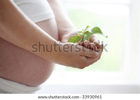 A close-up of a womans bare pregnant belly and a green leaf she is holding in her hands against a light background indoors.