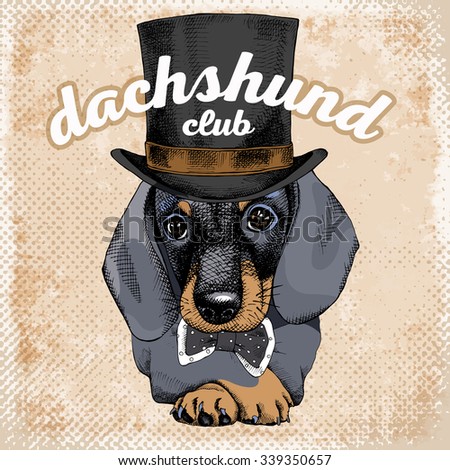 Portrait of a dog Dachshund in top hat and tie. Vector illustration.