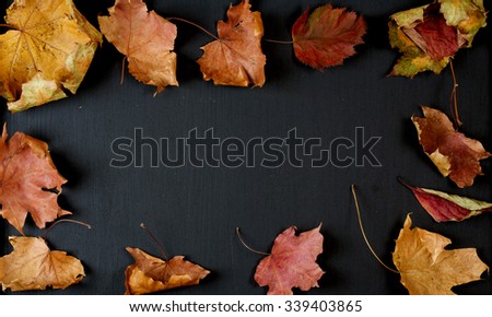 Dried maple leaves frame on a black wooden chalk board. Background