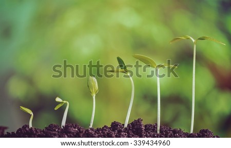 Growth. Royalty-Free Stock Photo #339434960