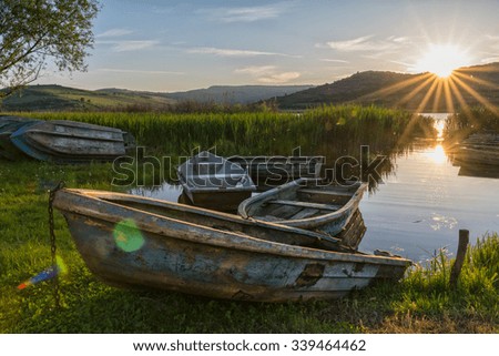 boats parked in lush vegetation on the shore of  a lake