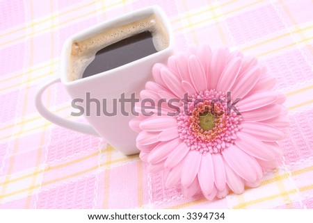 close-ups of cup of coffee with pink gerbera - good morning