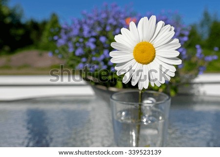Flower in a glass with very small depth of field