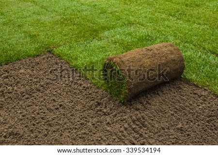 Gardener applying turf rolls in the backyard Royalty-Free Stock Photo #339534194