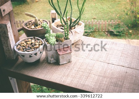 Various of small cactus in a pot vintage color