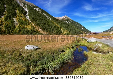Quick stream of clear water flowing in the middle of the canyon.  Hillsides picturesque alpine valley covered with thick coniferous forest