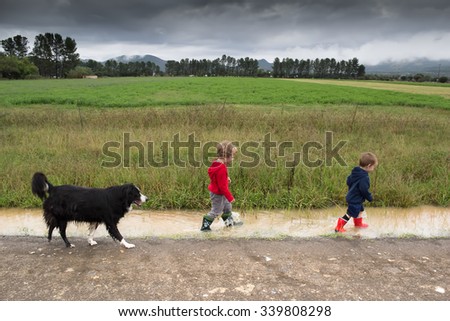 Photo of young boys and their dog walking in a puddle next to the road