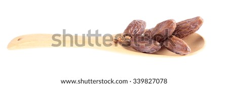 date palm isolate on white