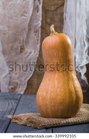 Photo closeup autumn still life one big whole fresh orange pumpkin gourd standing on sackcloth coarse fabric on blue wooden table over rustic background, vertical picture 