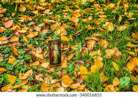 an icon with the picture of the Merciful Jesus among fallen leaves in Autumn: the translation of the Italian writing on bottom is Jesus, I trust in you
