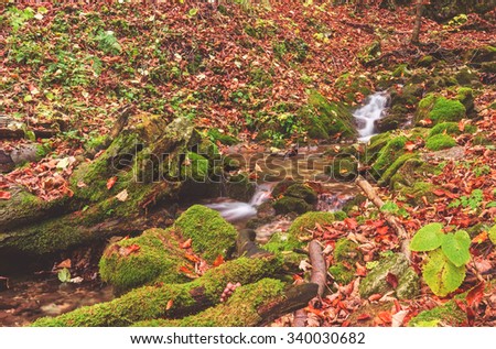 Stream in the autumn forest, Narodny park Slovensky Raj (National park Slovak paradise), Slovakia
