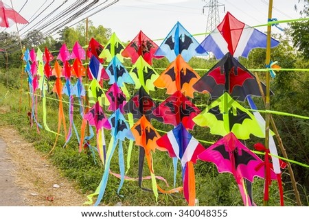 colorful kite - toy