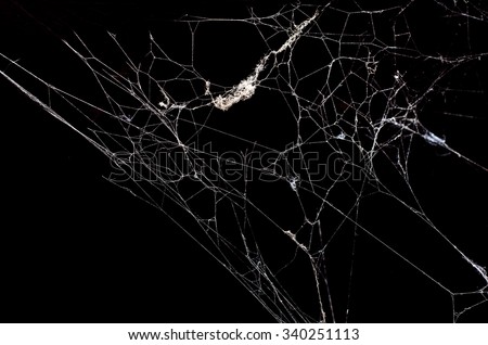 Triangle horror cobweb or spider web isolated on black background,horizontal photo Royalty-Free Stock Photo #340251113