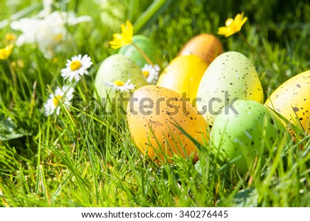 colored Easter eggs hidden in flowers and grass Royalty-Free Stock Photo #340276445