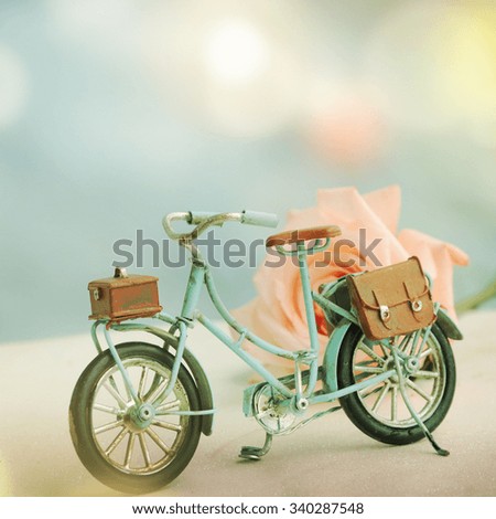 Blue Bicycle With Beautiful Flower 