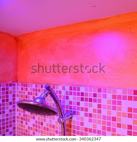 shower head in a colorful bathroom