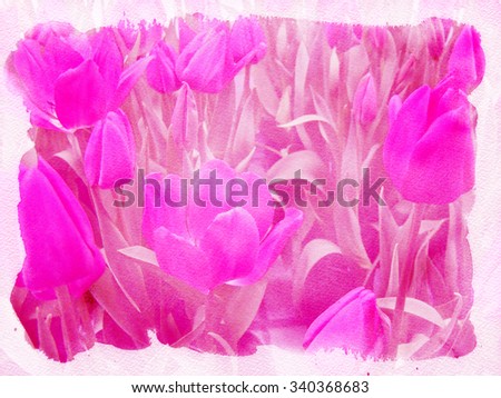 pink tulips enhanced with watercolor paper texture - manipulated image