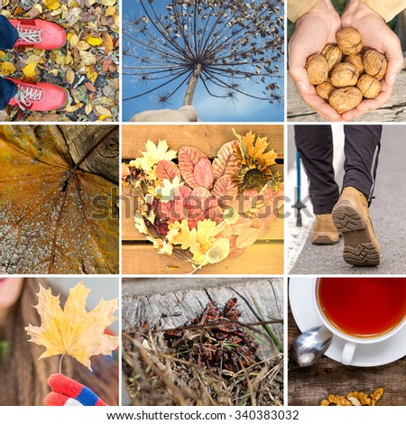 Autumn, travel mood collage of nice photos