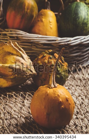Gourds still life