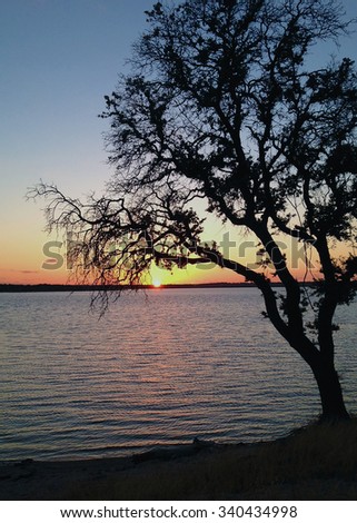 Oak Tree Silhouette at Sunset on Lake